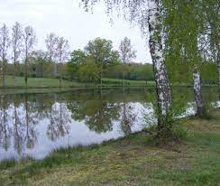 Photos, address, and phone number, opening hours, photos, and user reviews on yandex.maps. Les Plans D Eau Federation De Peche De L Allier