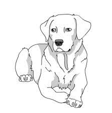We did not find results for: Simple Lab Dog Drawing Novocom Top