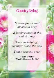 All three naturally combine very well! 48 Inspirational Flower Quotes Cute Flower Sayings About Life And Love