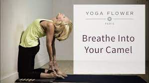 This pose stretches the front of the body, abdomen, upper thigh muscles and improves spinal flexibility. How To Do Camel Pose Ustrasana Backbend Asanas Bodhi Academy Youtube