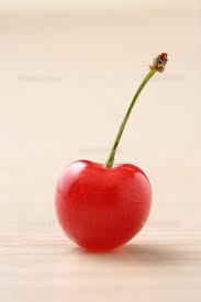 さくらんぼ 佐藤錦 c tohru minowa a collectionrf さくらんぼ 夏 フルーツ 果物と野菜