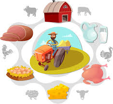 Products From Animals