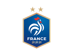 Equipes de france de hockey subaquatique. New Logo De L Equipe De France By Matthieumartigny On Dribbble