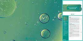 Maybe you would like to learn more about one of these? Animal And Plant Cells Ks3 Cells And Organisation Beyond
