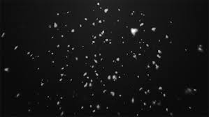 The best gifs are on giphy. Tumblr Backgrounds Black And White Gif