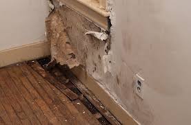 We did not find results for: Comment Repeindre Un Mur Ou Un Plafond Apres Un Degat Des Eaux Sos Fuites Com