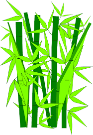 Japanese png & psd images with full transparency. Bamboo Plants Green Japanese Png Picpng