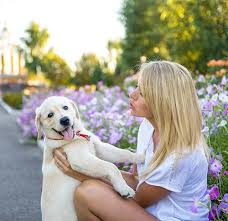 Check spelling or type a new query. Puppy Training Classes Are Classes Necessary For Puppy Socialization