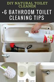 Diy Natural Toilet Cleaner Bathroom Toilet Cleaning Tips Toilet Cleaning Hacks Toilet Cleaning Natural Toilet Cleaner