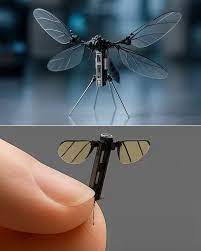 🇨🇳🕵️‍♂️ China Just Unveiled a Mosquito-Sized Spy Drone 😳🐜 China's National University of Defense Technology has developed a 0.6 cm-long insect-scale drone — and it's giving spy movie energy for real 👀