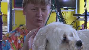 Empowering employees with disabilities