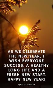 New Year 39 S Eve Quotes Sparkle While We Celebrate The New Year I Wish All The Best Of Lu New Years Eve Quotes Quotes About New Year Happy New Year Quotes