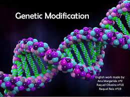 Igm would lead to treating children and all people like objects. Genetic Modification