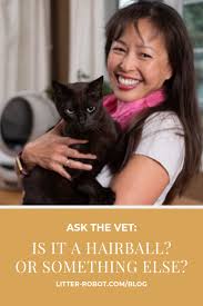 Cats are prone to hairballs because they swallow their own fur when grooming themselves. Ask The Vet Is It A Hairball Or Something Else Litter Robot Blog