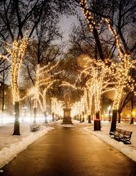 Commonwealth Avenue Boston Ma Christmas In Boston Holiday Experience Downtown Boston