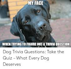 Feb 15, 2021 · dog trivia questions. My Face When Trying To Figure Out A Trivia Question Dog Trivia Questions Take The Quiz What Every Dog Deserves Quiz Meme On Me Me