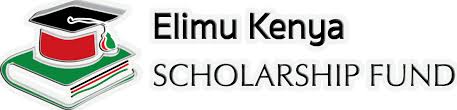 Get a copy of ched stufaps application form from ched offices or download it: Application Form For Elimu Scholarship Program 2021 Joon Online