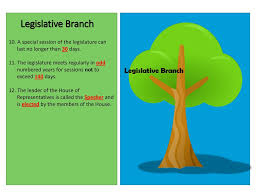 Executes or carries out the laws. Legislative Branch Legislative Branch Senate House Of Representatives Ppt Download