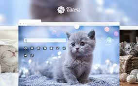 Header images, banner images and blog images. My Kittens Cute Cat Kitten Animal Wallpapers