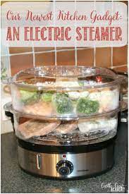 Our Newest Kitchen Gadget An Electric Steamer Electric Steamer Steamer Recipes Recipes