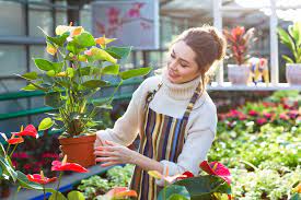 Gardener Salary How To Become Job Description Best Schools