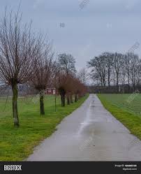 How to prune trees to keep them healthy and looking tidy. Line Traditionally Image Photo Free Trial Bigstock
