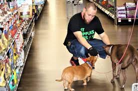 Visit the minneapolis, mn pet supplies plus neighborhood pet store near you. Pet Food Stores Open Near Me Cheap Buy Online