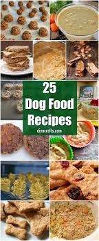 These homemade dog food recipes will help you give your dog the food it needs, without all that added stuff it doesn't. 25 Lip Smacking Homemade Healthy Dog Food Recipes Your Pooch Will Love Diy Crafts