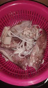 Noranm corner from lh5.googleusercontent.com resepi 1 kilo ikan mambung lemak cili padi club. Sotong Sumbat Ikan Mambung Masak Lemak Cili Api Puas Makan Ni