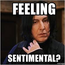 My favorite harry potter meme is the x y potter, you were named after z format, making fun of the truly awful name he gave his youngest son, albus severus potter. Harry Potter Memes That Prove Snape Secretly Cared For Harry All Along Animated Times