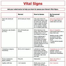 Vital Signs Vital Signs Vital Signs Chart Medical Memes