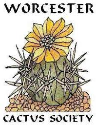 Facebook is showing information to help you better understand the purpose of a page. Leeds Branch Of The British Cactus Succulent Society Home Facebook