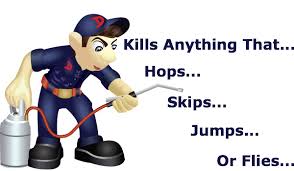 Urbanclap pest control services offers. Top 10 Pest Control Services In Mumbai Safe Certified Chemicals Urban Company