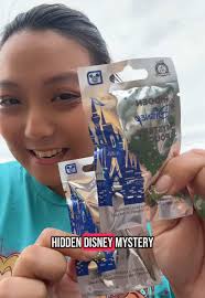 Hidden Mickey Disney Pin Bags
