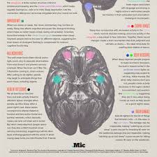 What Sleep Deprivation Does To Your Brain In One Stunning Infographic Sleep Deprivation Your Brain Pulling An All Nighter
