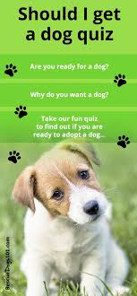 Should I Get A Dog In 2020 Dog Quiz Working Dogs Breeds Dogs And Kids
