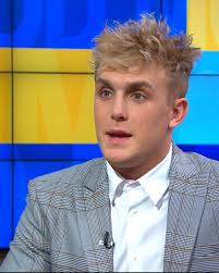 Youtuber jake paul calls out ufc star mcgregor. Self Described Imperfect Role Model Jake Paul Opens Up About His Youtube Super Stardom Abc News