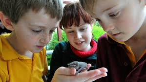 Chewton kids go batty over tiny mammal