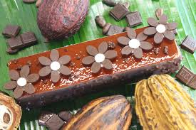 New Ice Cream The Frozen Dessert Madagascar Vanilla And Chocolate Ice Cream Cocoa Biscuit Creme Glacee Vanille Chocolat Vanille Creme Glacee