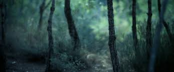 Ultra Wide Hd Nature Wallpapers Top Free Ultra Wide Hd Nature Backgrounds Wallpaperaccess Hd wallpaper for pc full screen 75 images source :