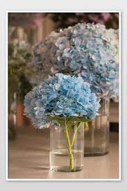 This is the hydrangea that people refer to when they talk about changing. Vase Beautiful Blue Hydrangea Flowers On A Wooden Table Photo Photo Jpg Free Download Pikbest