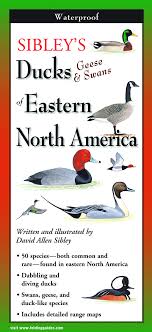 Sibleys Ducks Geese And Swans Of Eastern North America