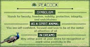 What Does A Peacock Symbolize A Peacock Symbolizes Beauty Freedom Nobility Integrity Visi Spirit Animal Meaning Animal Totem Spirit Guides Animal Symbolism
