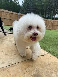 They do make you laugh don't they 🤣🤣