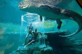 Crocosaurus Cove Aquarium Adventure Holiday Aquarium Places To Travel