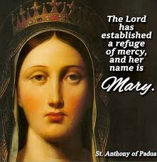 MARY, REFUGE OF SINNERS Jesus Christ is our ultimate refuge. So when we  give to Our Lady the consoling title, "Refuge of Sinners," we see in her  one who loves the lost