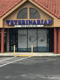 Barstow from throughout the entire state of florida and across the southeastern united states. Veterinarian In Miami Fl Dream Lake Animal Hospital