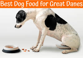 Finding the best food to feed a great dane puppy is important because it helps our pups to grow as big and strong as they're meant to. Best Dog Food For Great Danes In 2019 Us Bones