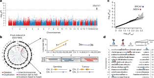 4º e resolução tj/oe nº 10/2008. Pan Cancer Analysis Of Whole Genomes Nature
