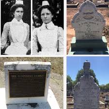 plague in Maryborough (Qld ...